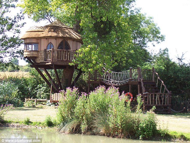 Pretty: This treehouse at Amberley Castle, a heritage centre in Sussex, has a striking view and thatched roof
